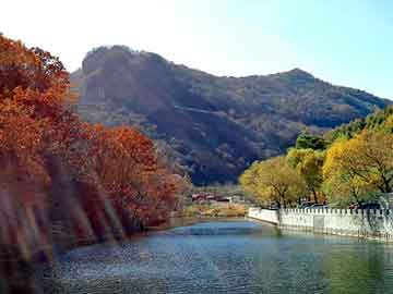 莱芜采购，泛目录站点